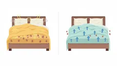 Experter varnar: Det här vanliga misstaget direkt efter uppvaknandet skadar din hälsa